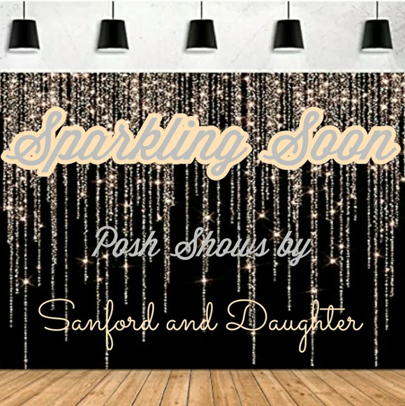 Sequined Mini Skirt by BCBGeneration Skirt Peach Sequins Size 6 - Picture 5 of 5